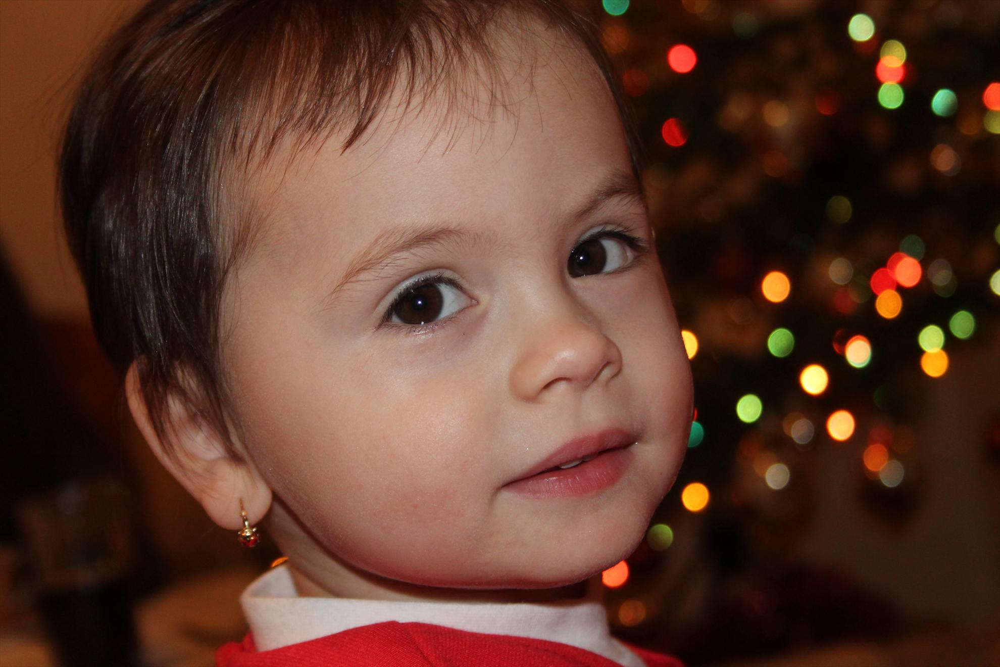 My new passion...2 - craciun-2012-02711.JPG